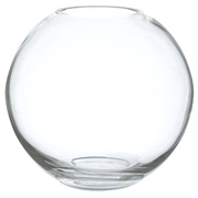 Globe Vase For Hire
