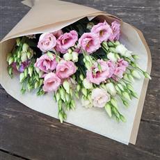  Just Pink Lisianthus