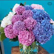Hydrangea Vase